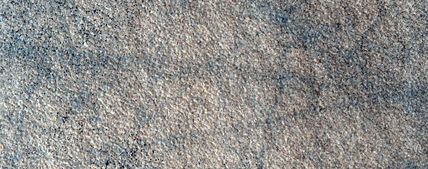 Northern Plains Terrain
