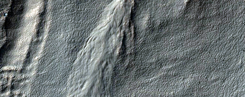 Multi-Lobed Gully Apron
