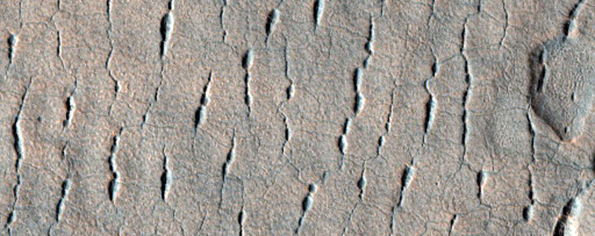 Incipient Scallops and High Density of Pits along Polygon Cracks