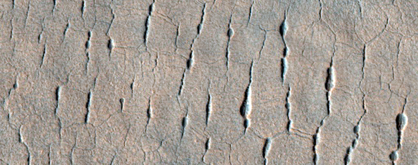 Utopia Planitia Terrain