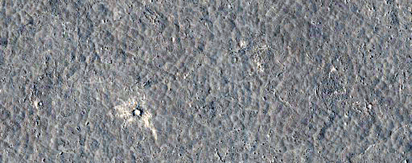Lava Surface with Shallow Depressions