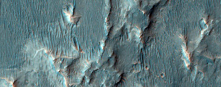Possible MSL Rover Landing Site in Holden Crater