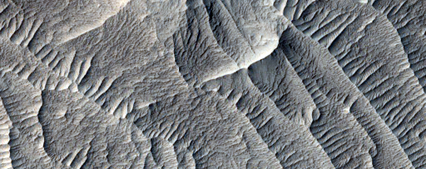 Knobs in East Candor Chasma