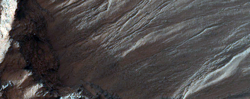 Volatiles and Gullies in Asimov Crater