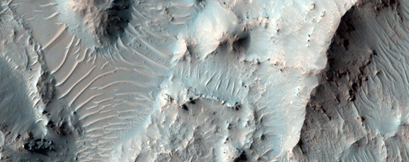Rocky Central Structure of a Large 40-Kilometer Diameter Crater
