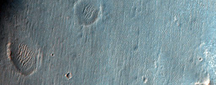 Sinuous Ridges in Eastern Peta Crater