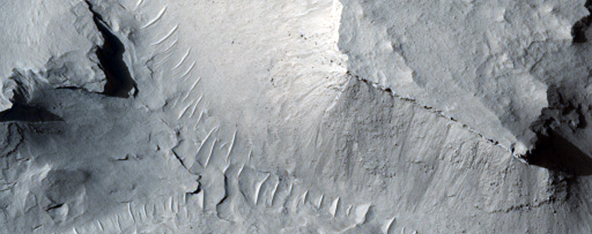 Sinuous Ridges with Possible Fluvial Scroll Bars at Scarp