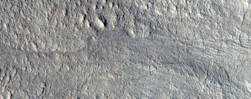 Gullies in Crater and Mantle Terrain