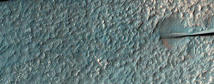 Barchan Dunes in Crater