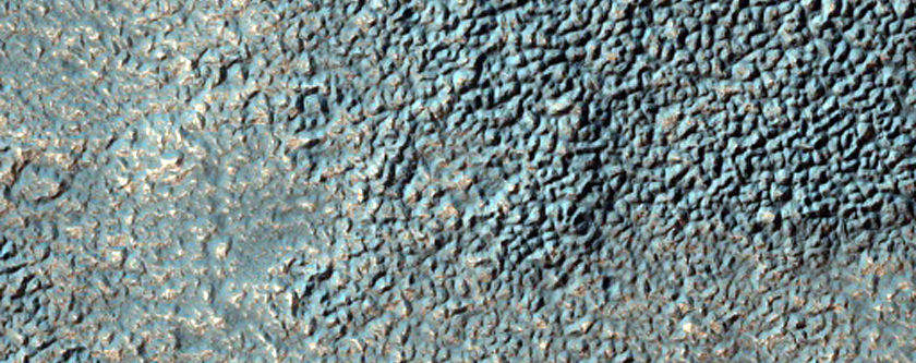 Warrego Valles