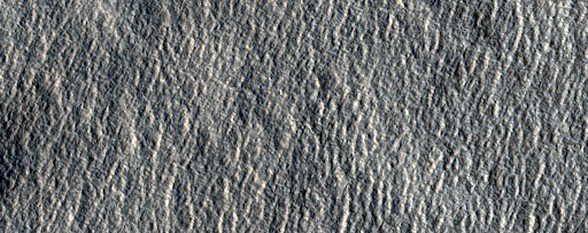 Possible Ice Exposure in Fresh Impact Crater