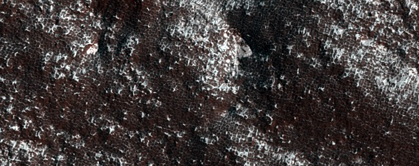 Curvilinear Debris Fill in Unnamed Crater North of Spallanzani Crater