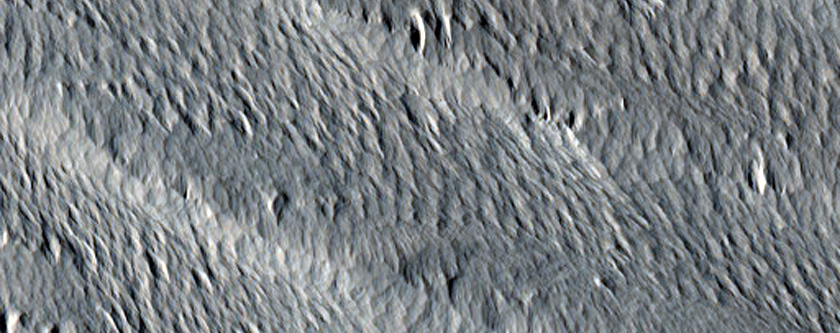 Nicholson Crater Interior