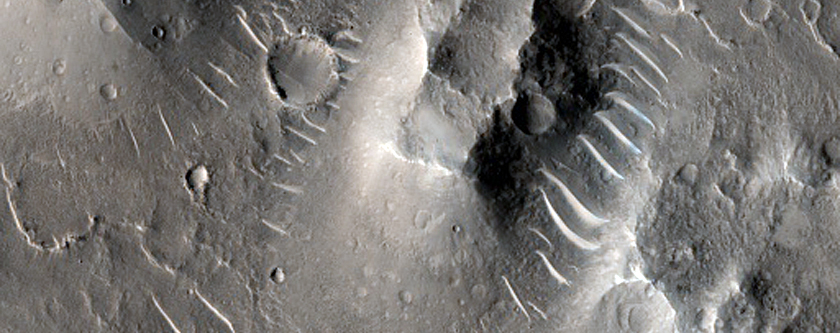 Possible Rootless Cones in Isidis Planitia
