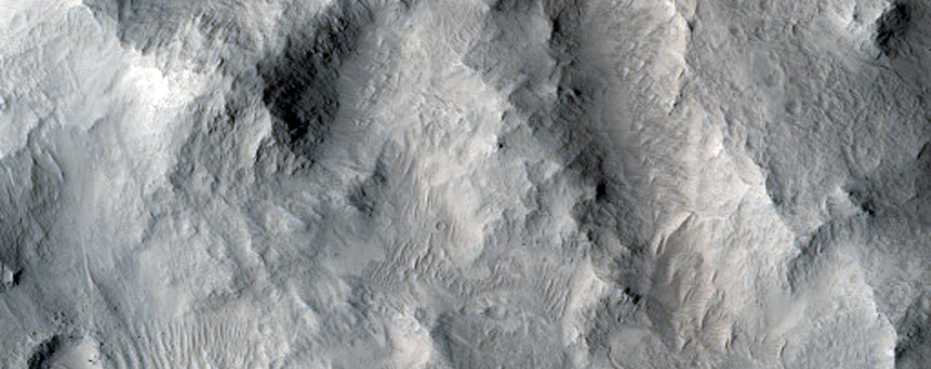 Central Structure of a Large Impact Crater