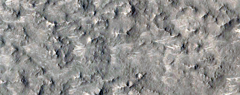 Floor of an Impact Crater in South Elysium Planitia