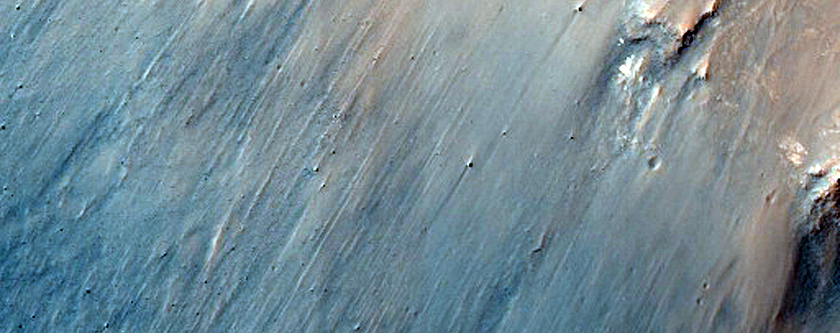 Potential Phyllosilicate Outcrops in Iani Chaos