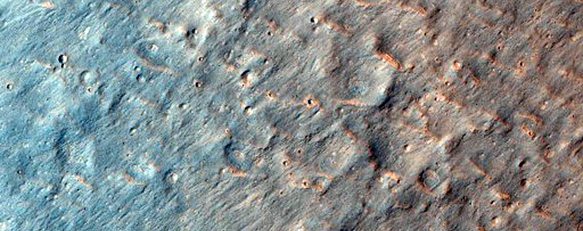 Fan on Scarp