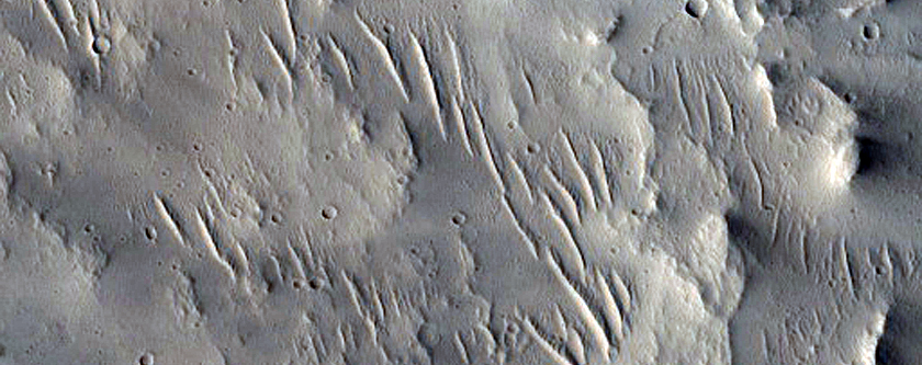 Pitted Deposits in 30-Kilometer Diameter Crater in Tempe Terra