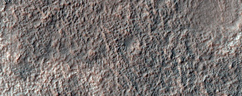 Possible Chloride Salts-Rich Terrain in Icaria Planum