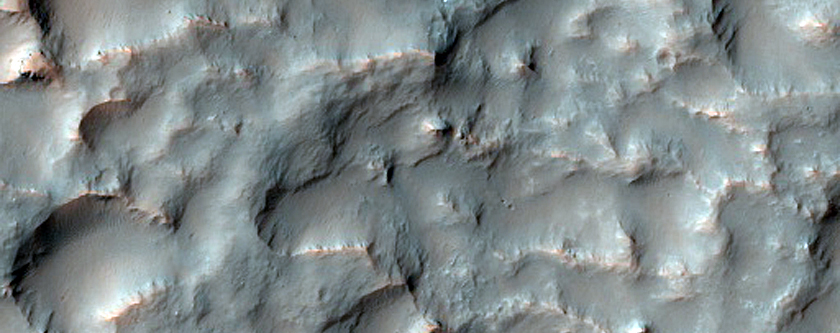 Possible Olivine-Rich Bright Night IR Region in Terra Sirenum