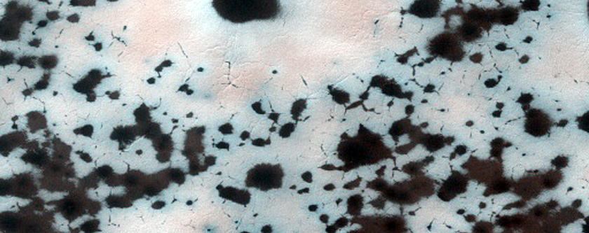USGS Dune Database Entry Number 2246-731