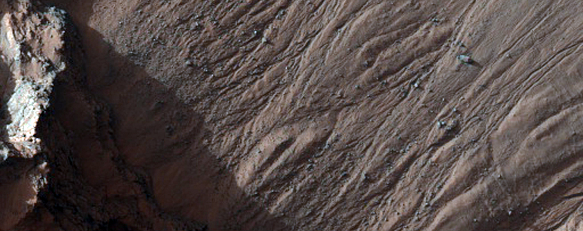 Volatiles and Gullies in Asimov Crater