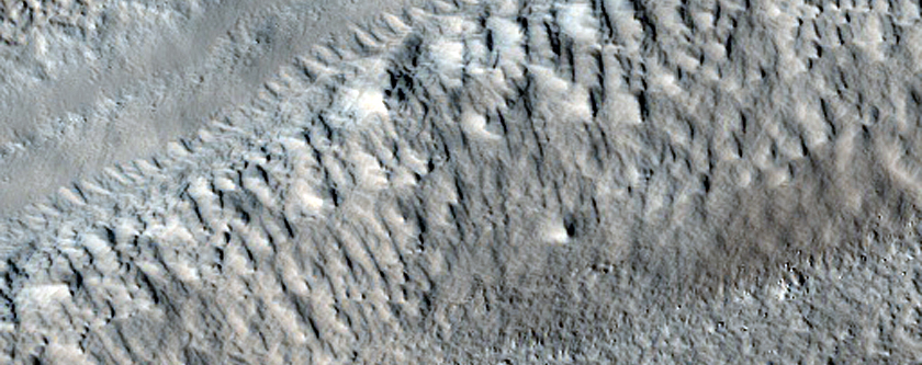 Volcano in Tanais Fossae