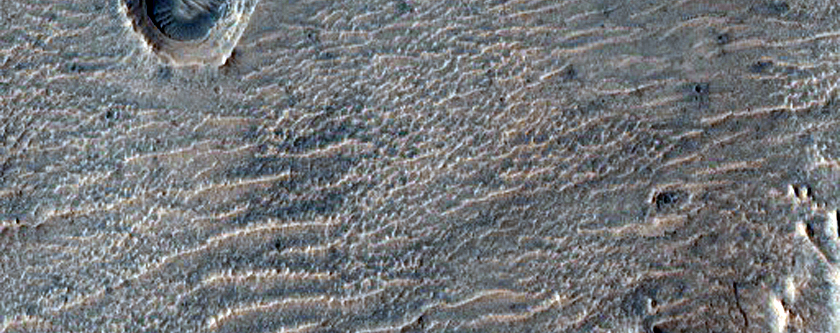 Exposure of Layers in South Gale Crater with Possible Sulfates