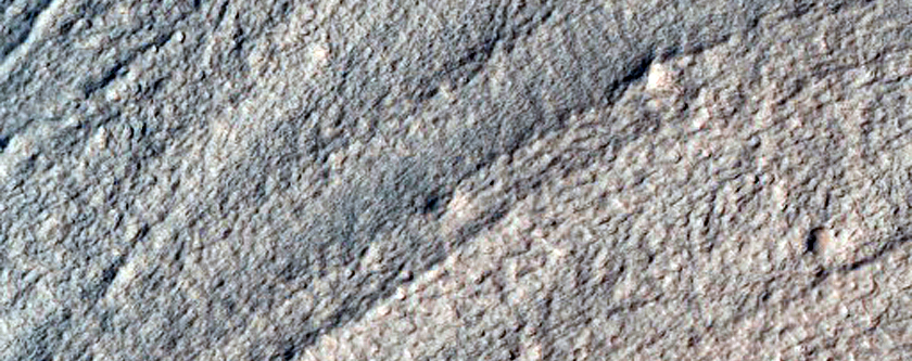 Volatiles and Gullies
