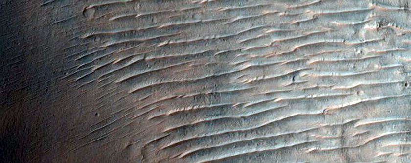 Possible Phyllosilicate-Rich Terrain on Rim of Crater