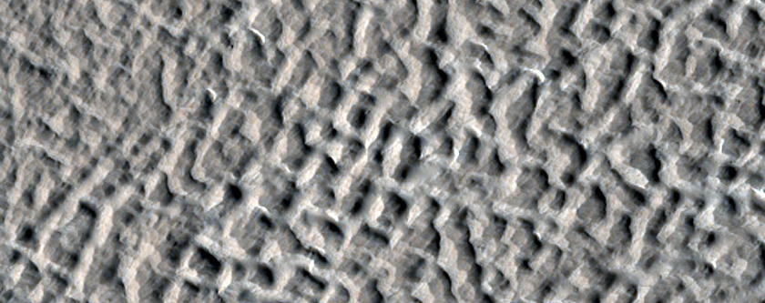 Lineated Crater Fill