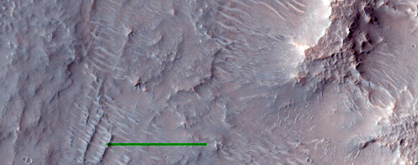 Possible Phyllosilicate-Rich Terrain in Ring Graben in Argyre Region