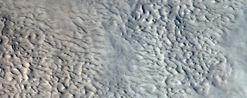 Ismenius Cavus