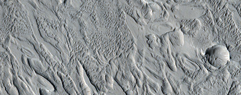 Crescent-Shaped Forms in Crater Fill Material