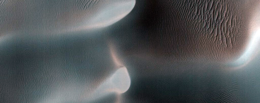 Dune Gully