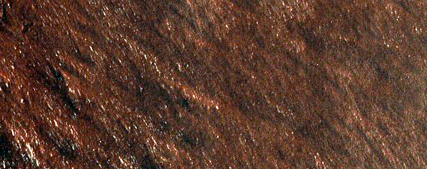 Possible Phyllosilicate-Rich Terrain near Scarp in Southern Argyre Region