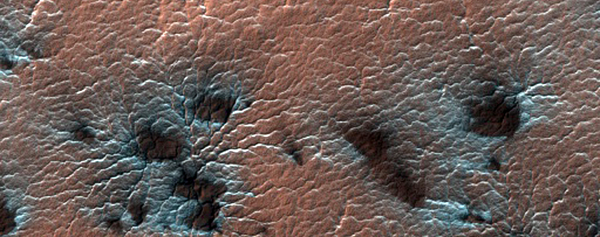 Spider Terrain