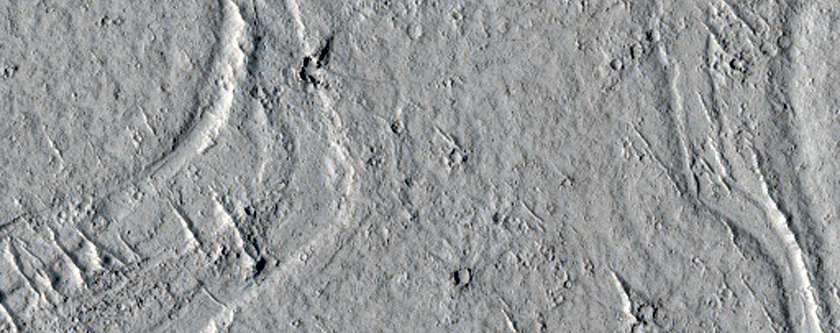 Ridges and Polygonal Terrain in Elysium Planitia