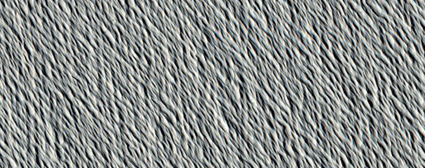 Candidate New Impact Site Formed between April 2004 and May 2006