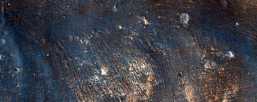 Sample of Lava Flows in Eastern Daedalia Planum