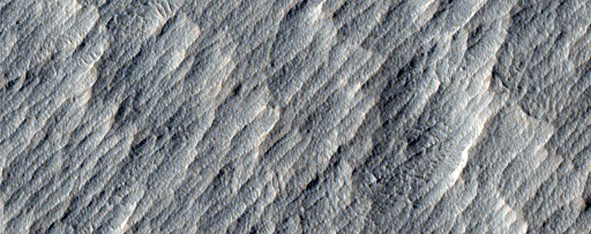 Yardangs Next to Stabilized and Cratered Dunes