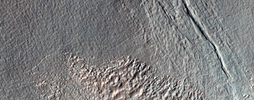Gullies with Possible Bright Deposits
