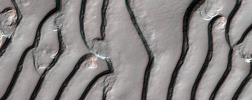 South Pole Residual Cap Site