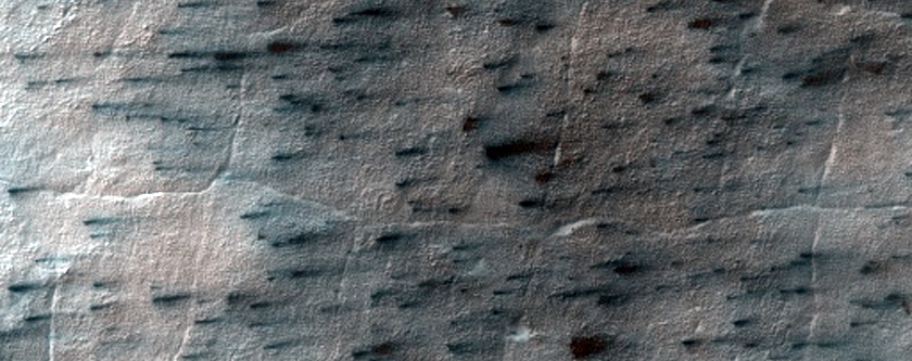 Fans on Layers in the South Polar Cap