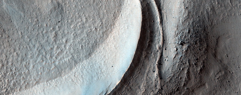 Gullies and Lobate Material in a Crater in the Nereidum Montes