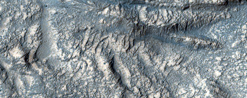 Giant Gullies in the Hellas Montes