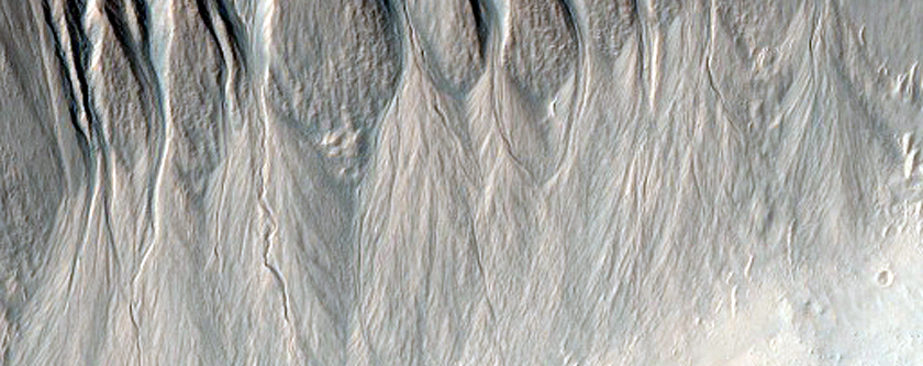 Possibly Active Gullies