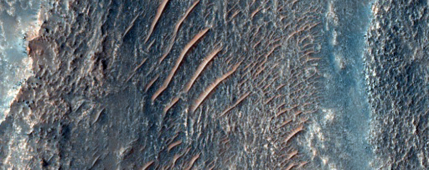 Layers on Crater Floor West of Hellas Planitia