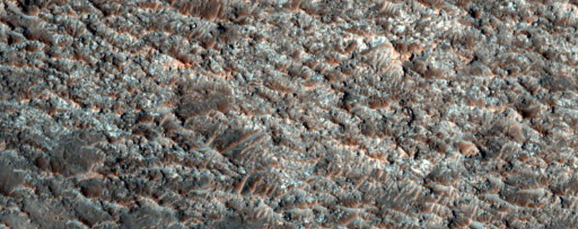 Margin of Large Olivine-Bearing Plains in Tyrrhena Terra